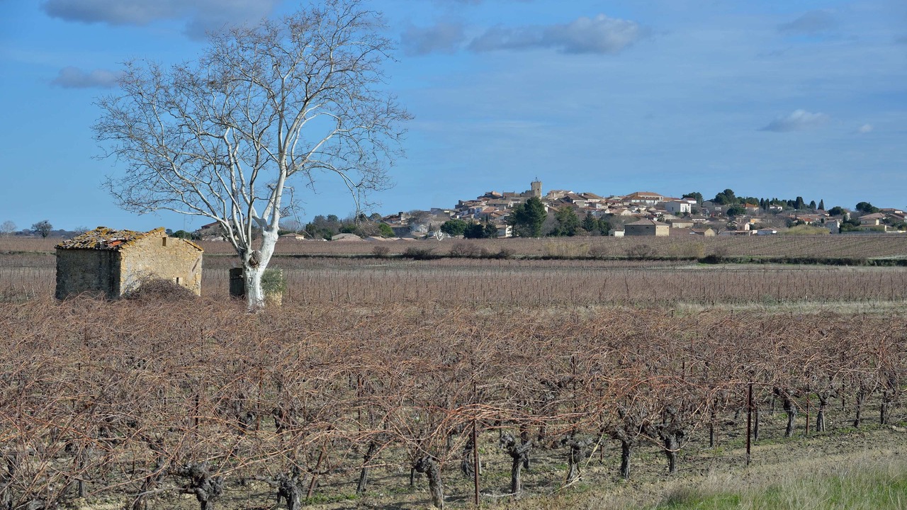 Photo of Outdoor in Abeilhan