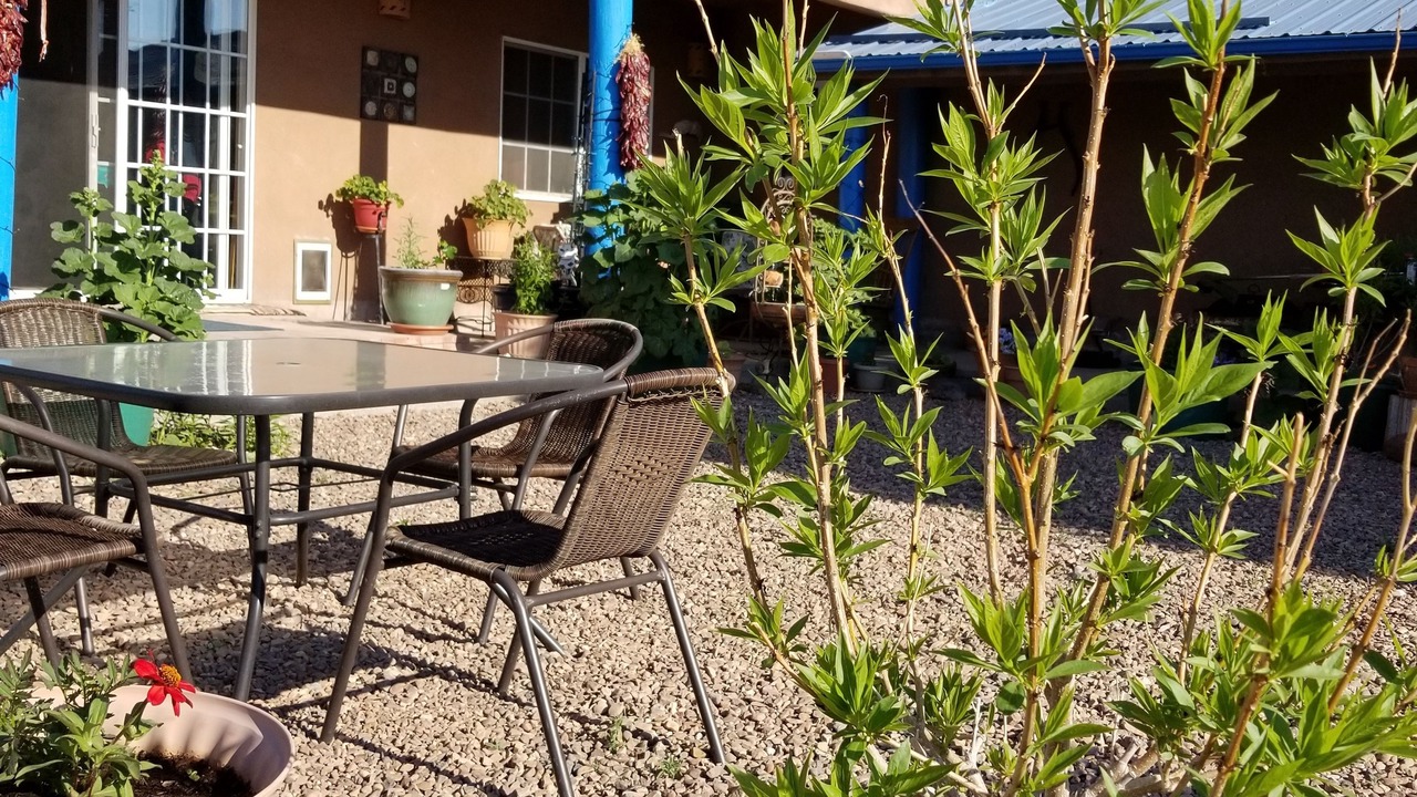 Photo of Patio Balcony in Quemado