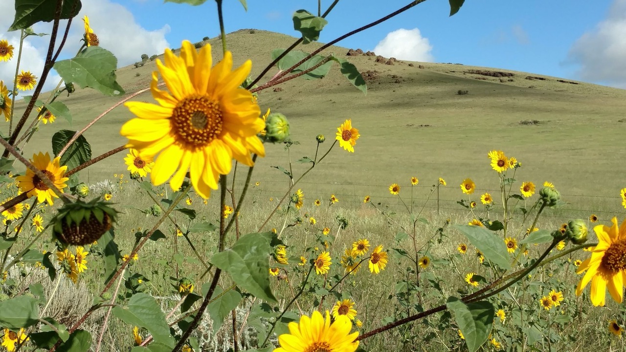 Photo of Outdoor in Quemado