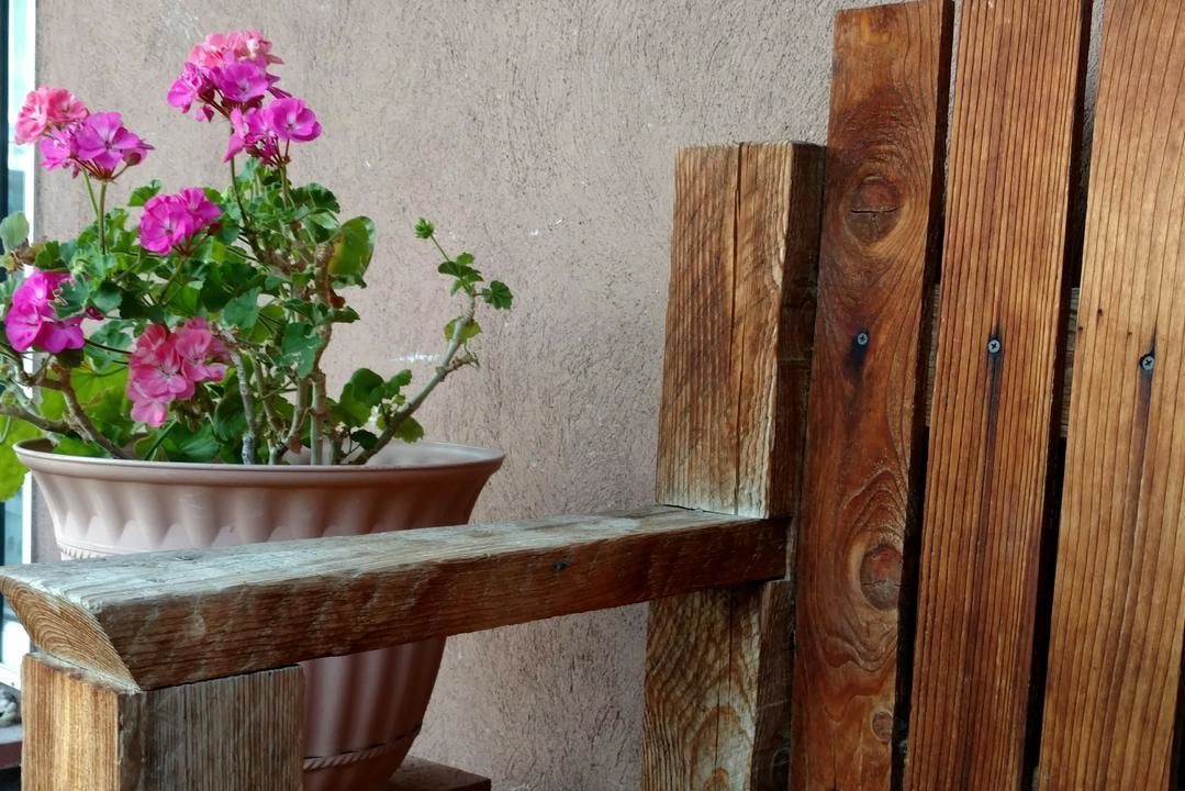 Photo of Outdoor in Quemado
