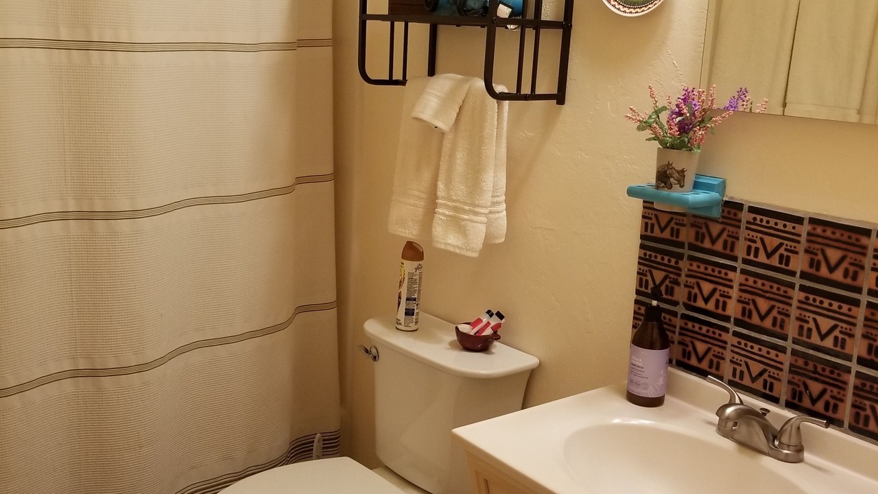Photo of Bathroom in Quemado