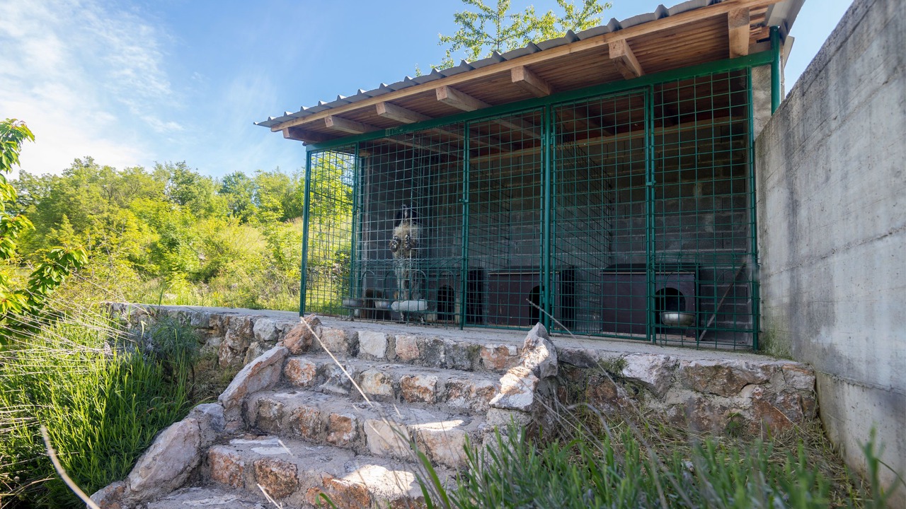 Photo of Outdoor in Caporice
