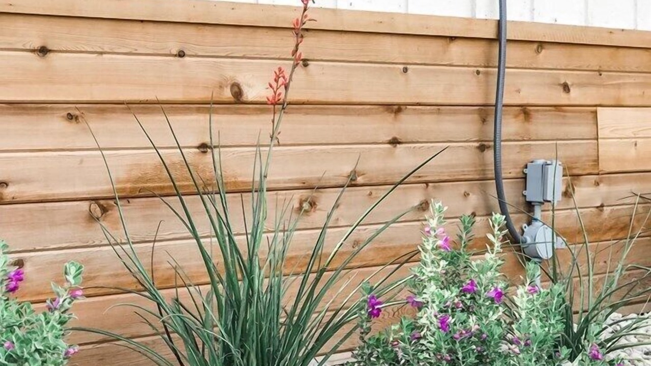 Photo of Outdoor in Stonewall