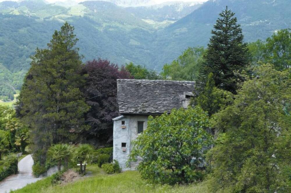 Photo of Others in Negrentino