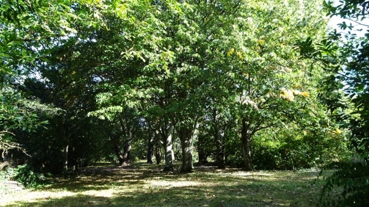 Photo of Outdoor in Blere