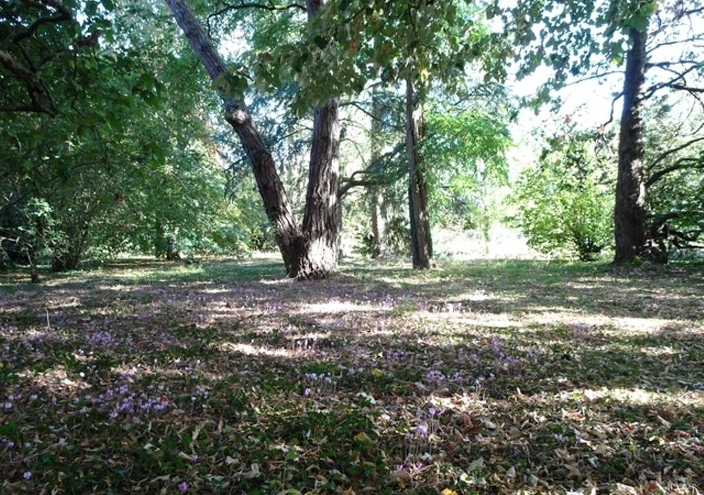 Photo of Outdoor in Blere