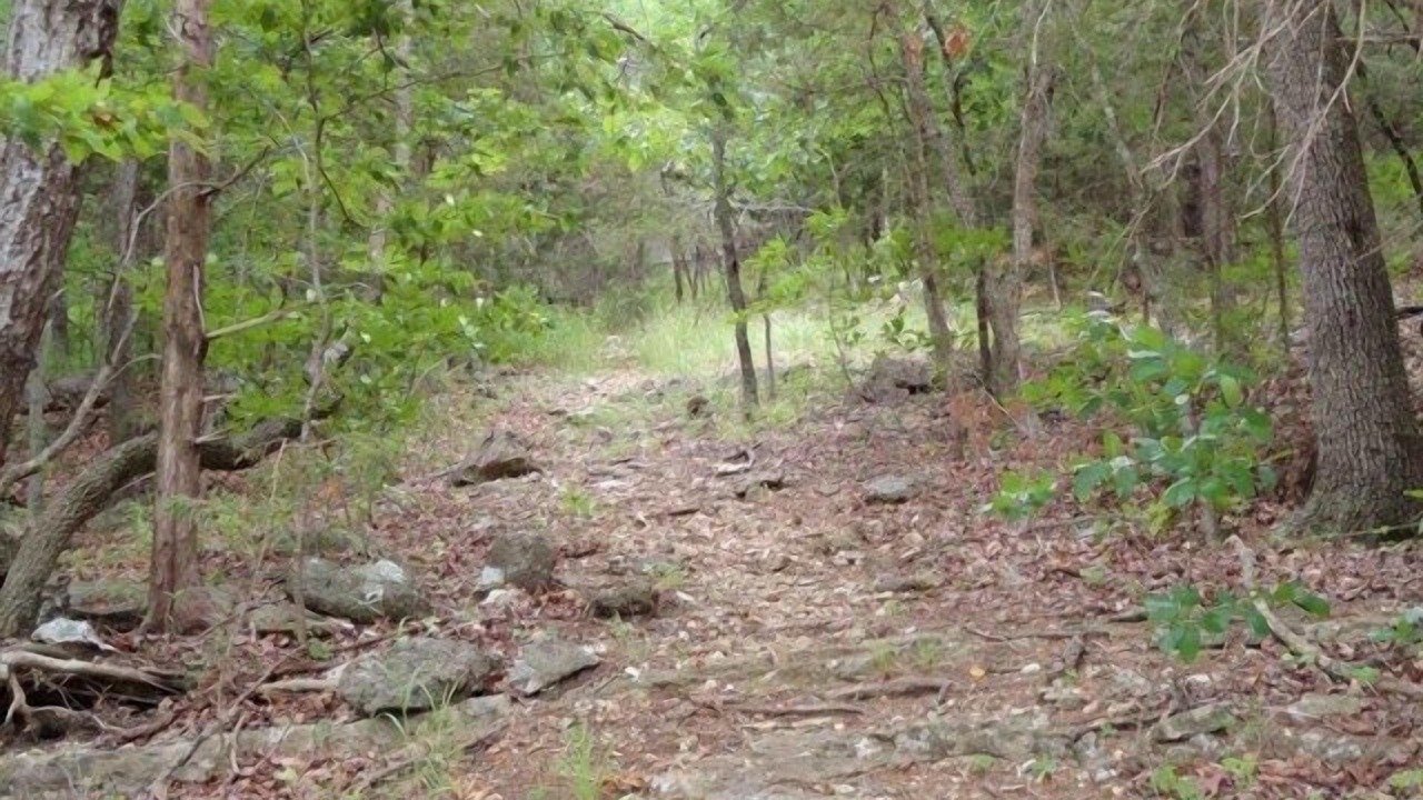 Photo of Outdoor in Lost Bridge Village