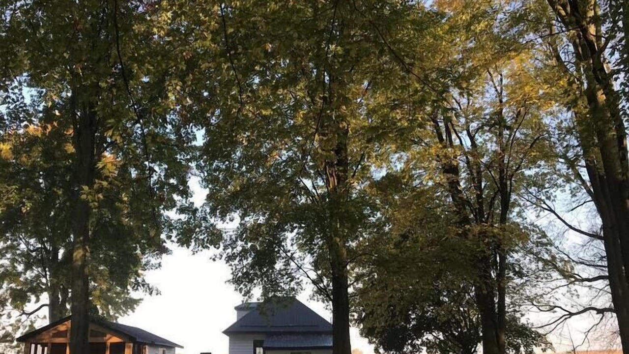 Photo of Outdoor in Hillier