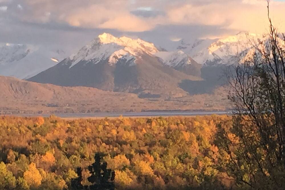 Photo of Others in Knik-Fairview