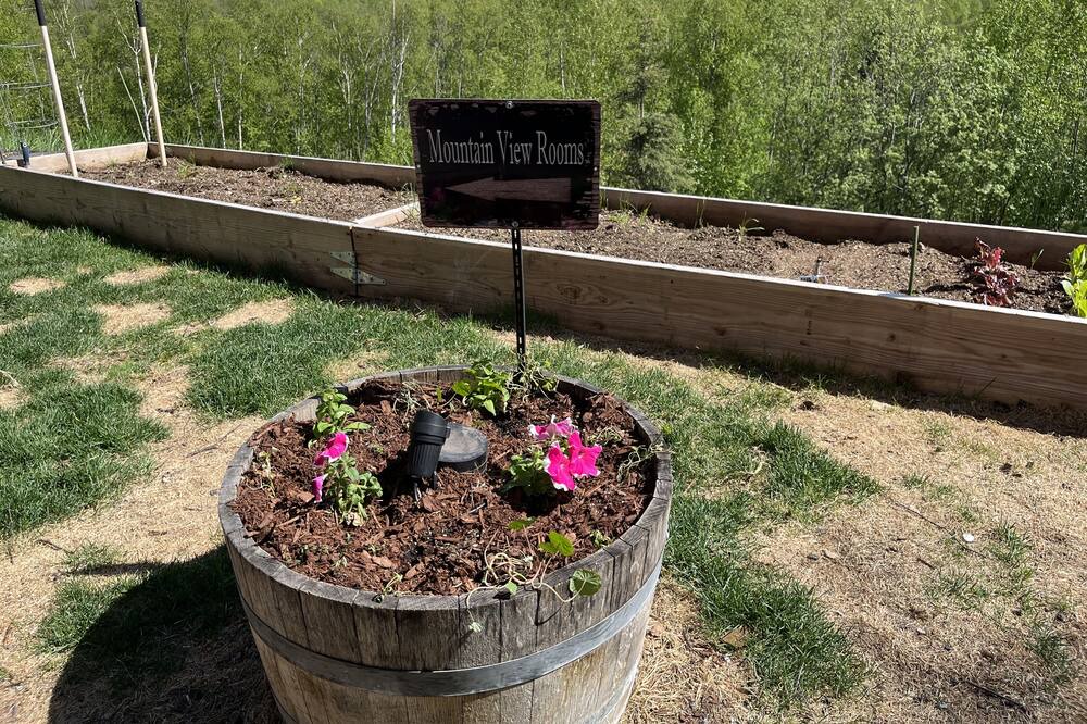 Photo of Outdoor in Knik-Fairview