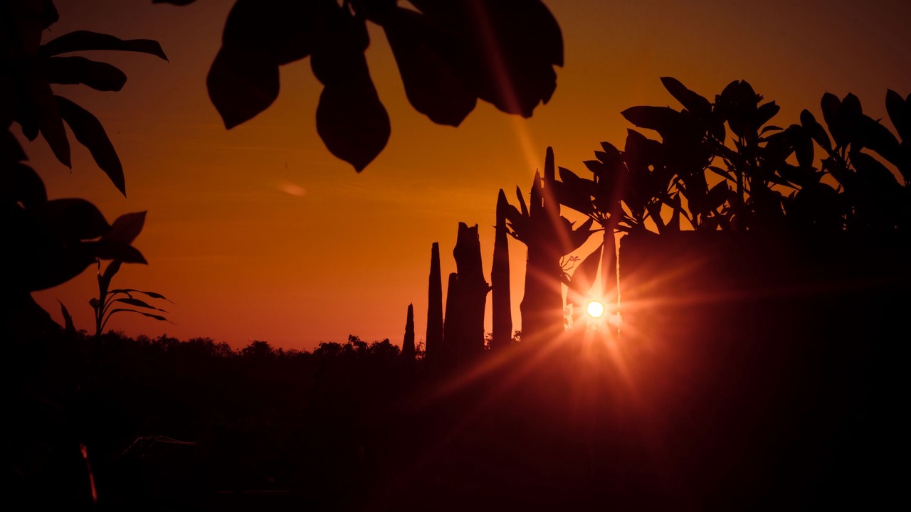 Photo of Others in Klumpu