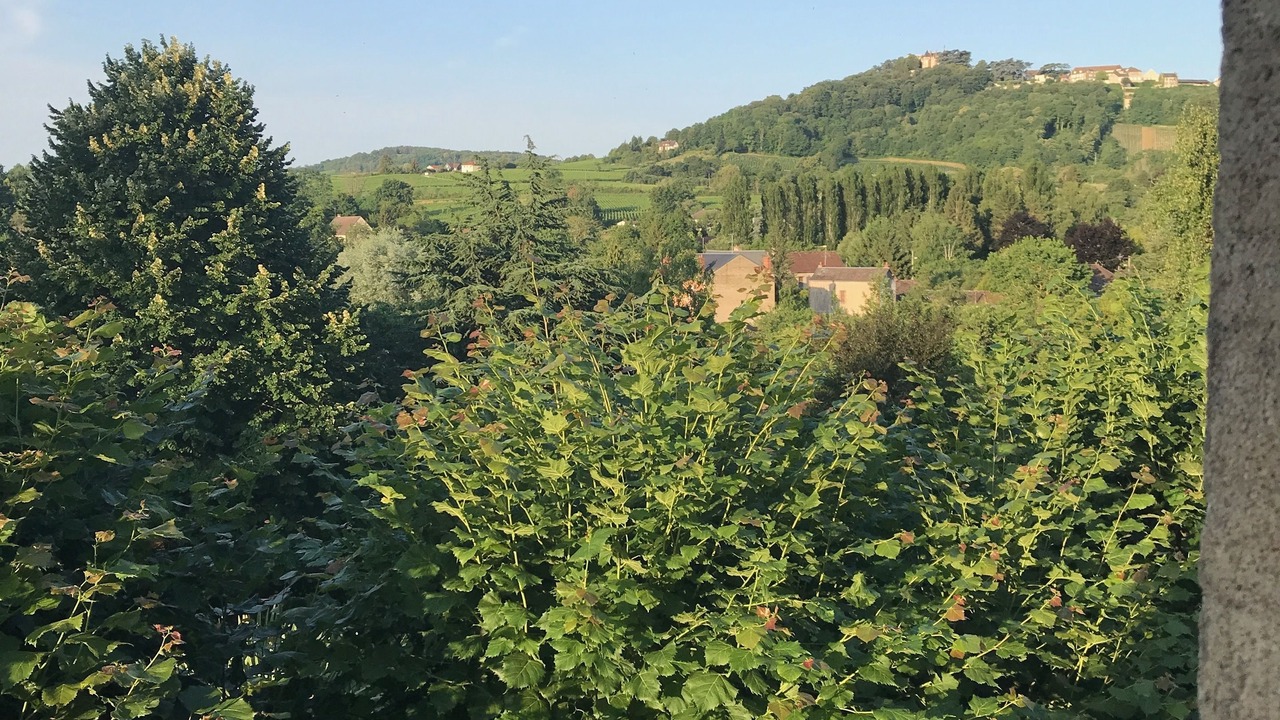 Photo of Bedroom in Saint-Satur