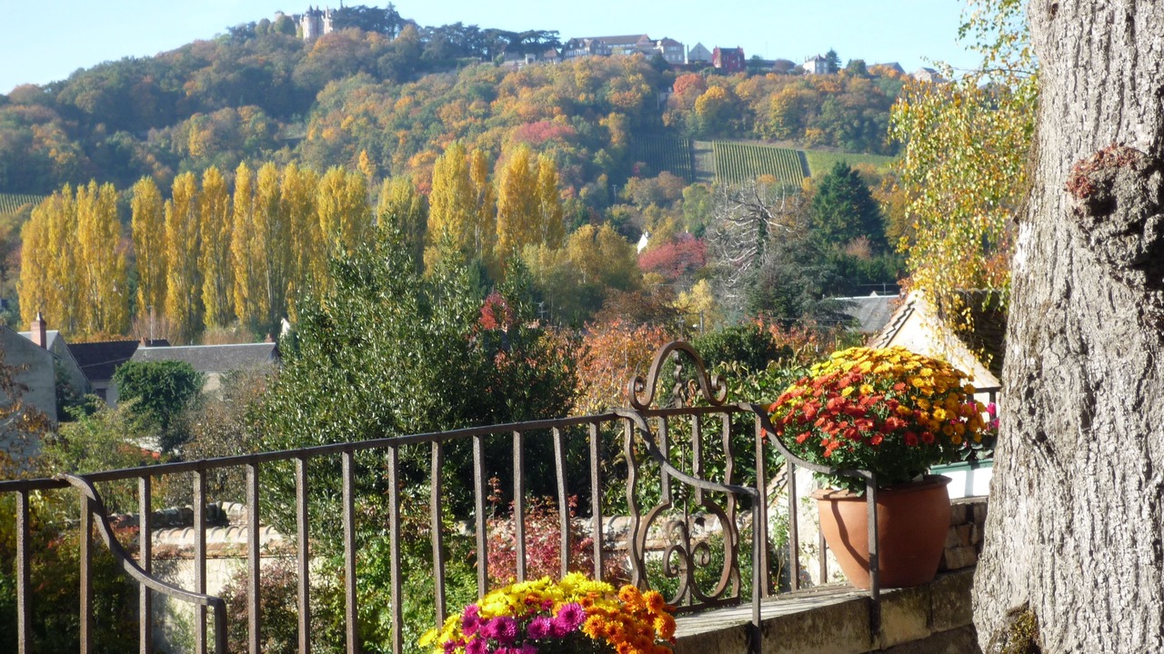 Photo of Patio Balcony in Saint-Satur
