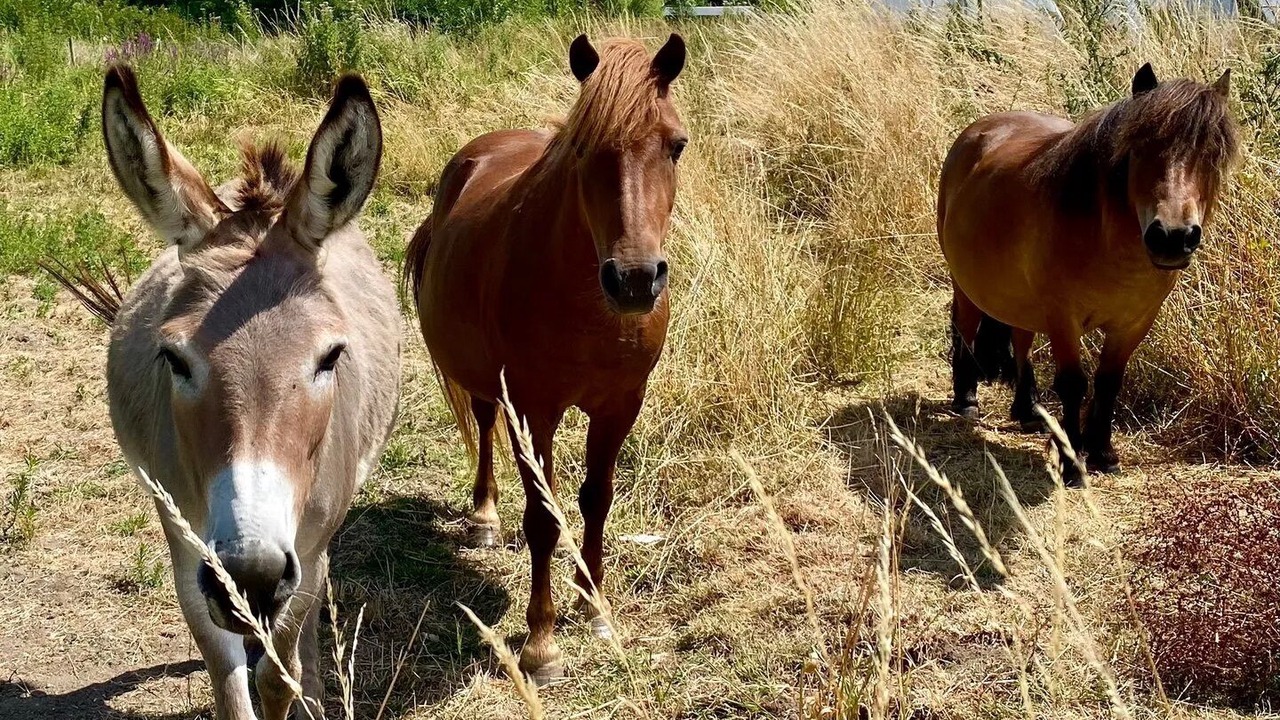 Photo of Outdoor in Nouatre
