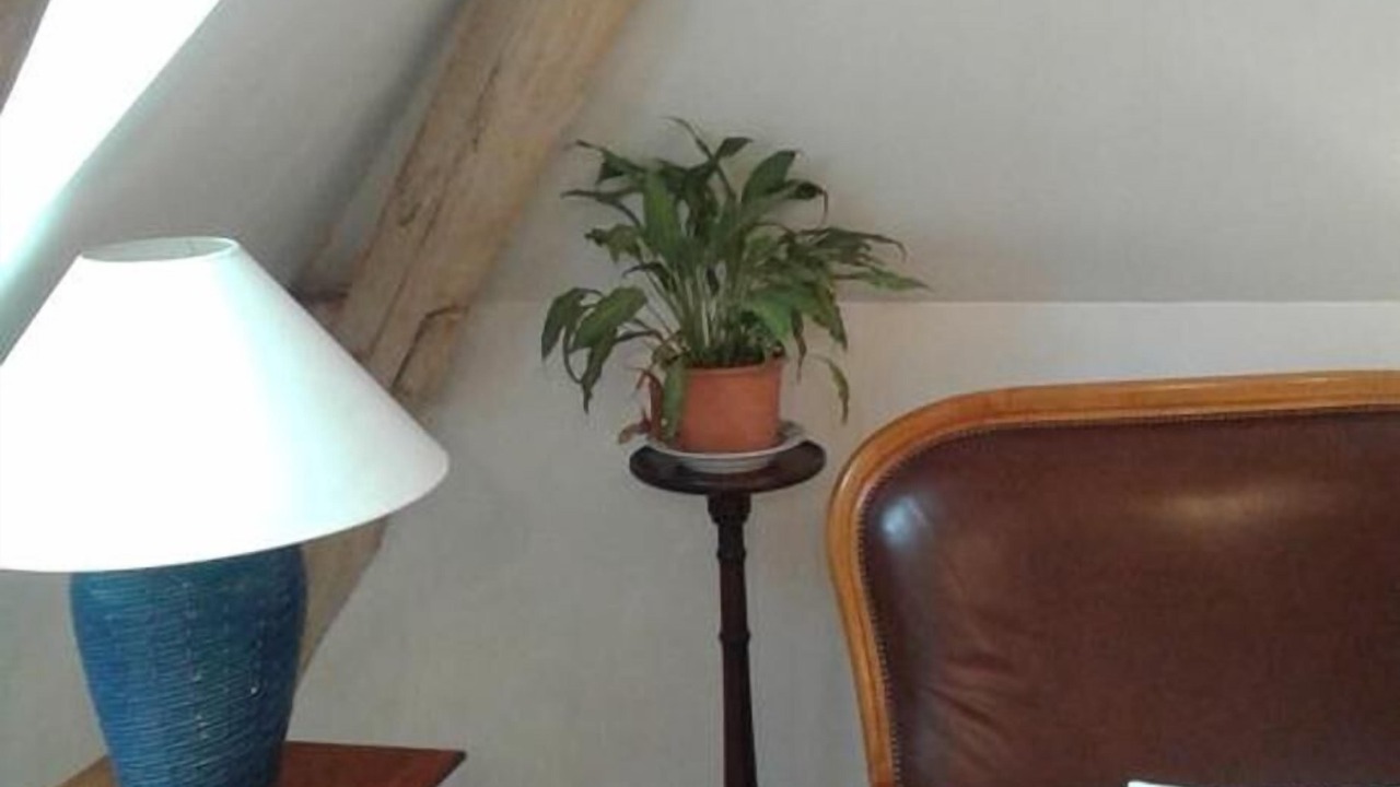 Photo of Others in Nouatre