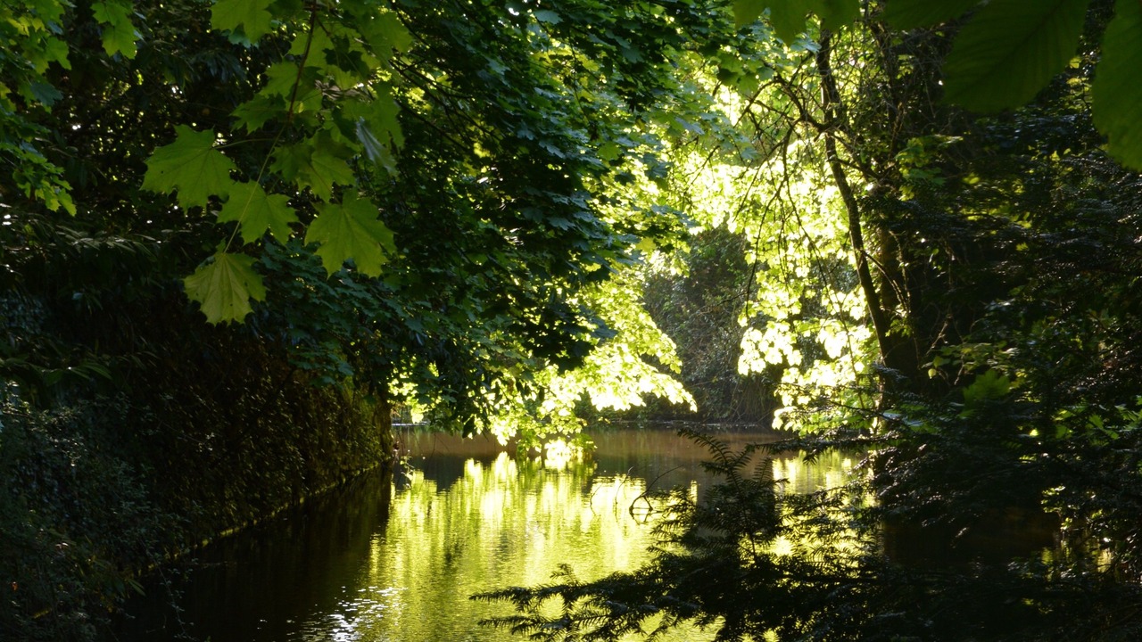 Photo of Outdoor in La Tourlandry