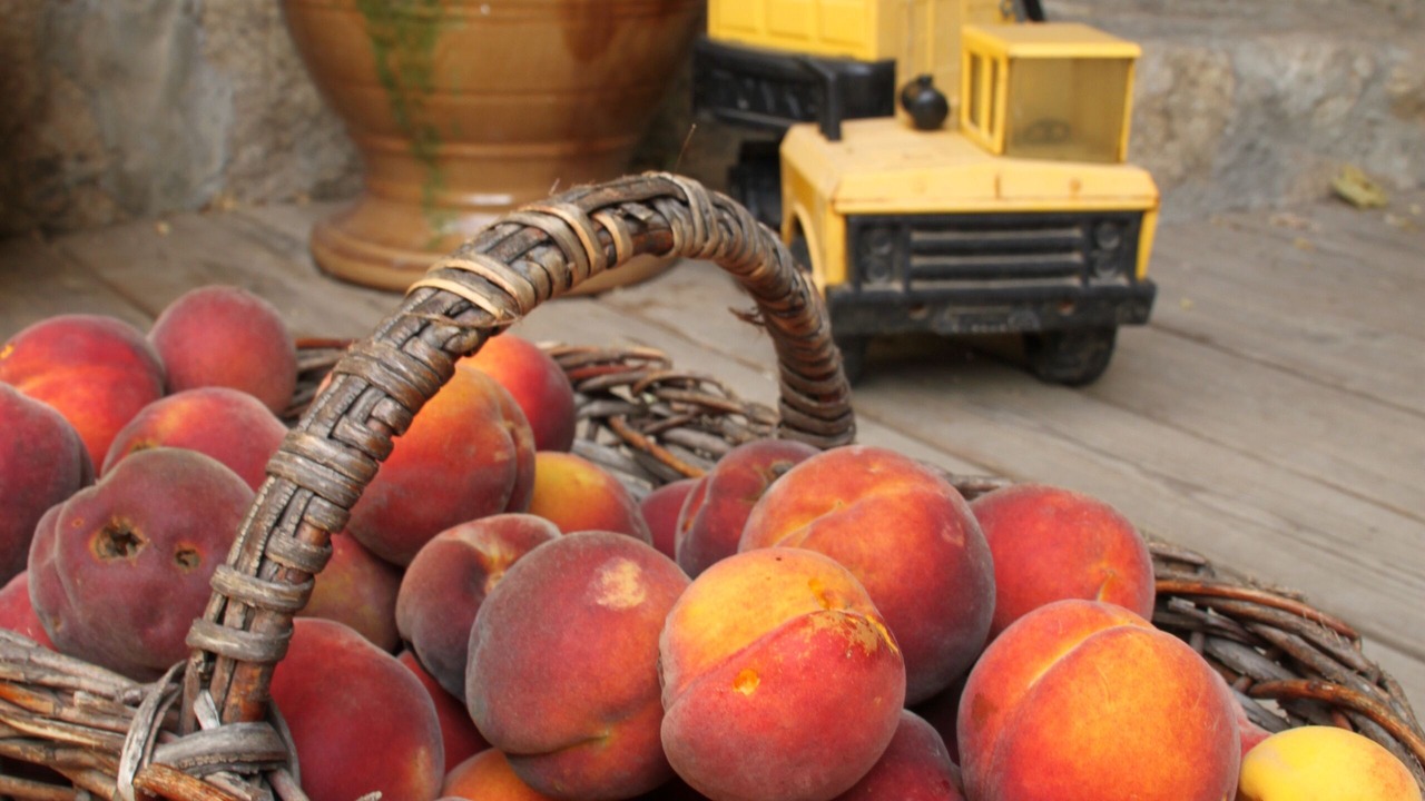 Photo of Outdoor in Chirols