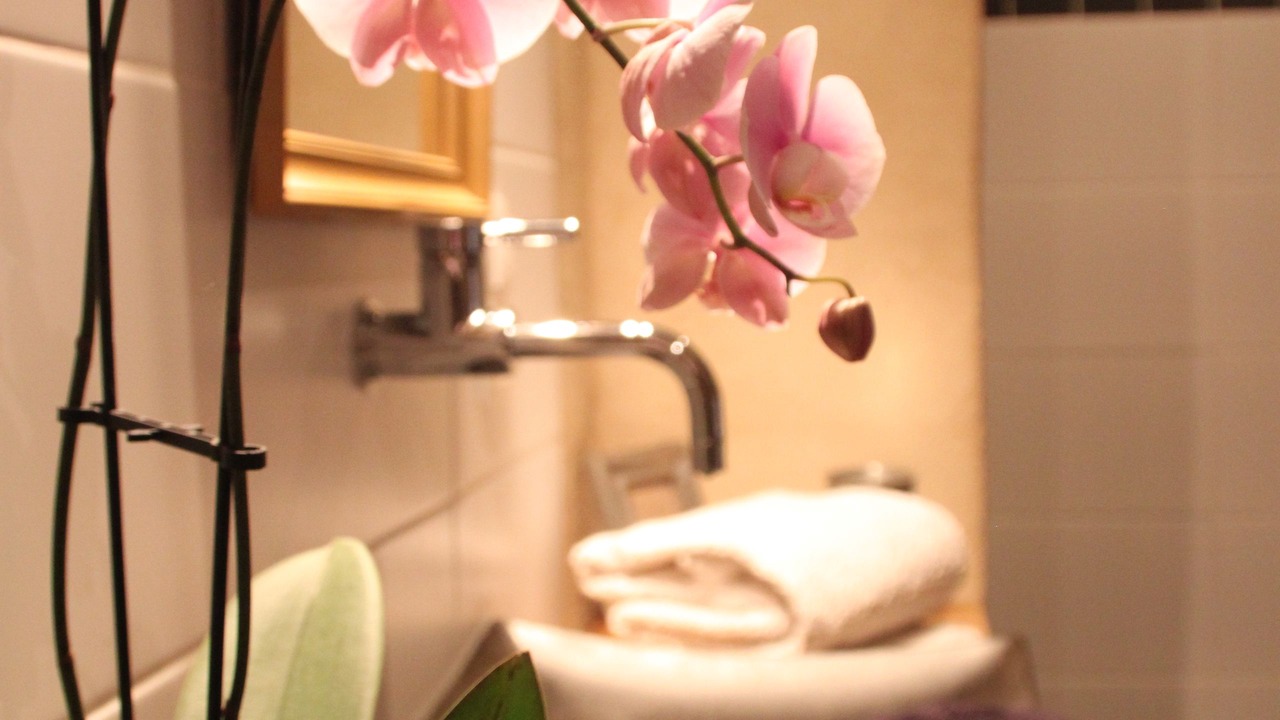 Photo of Bathroom in Chirols