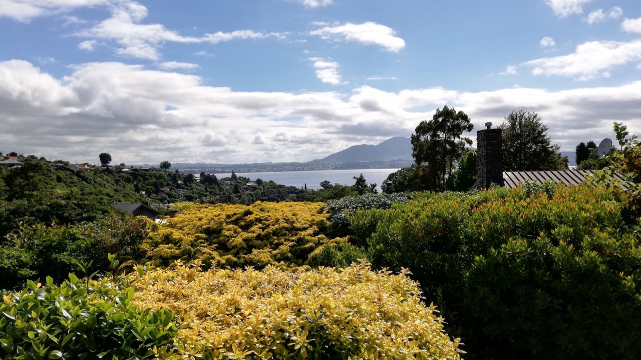 Photo of Outdoor in Acacia Bay