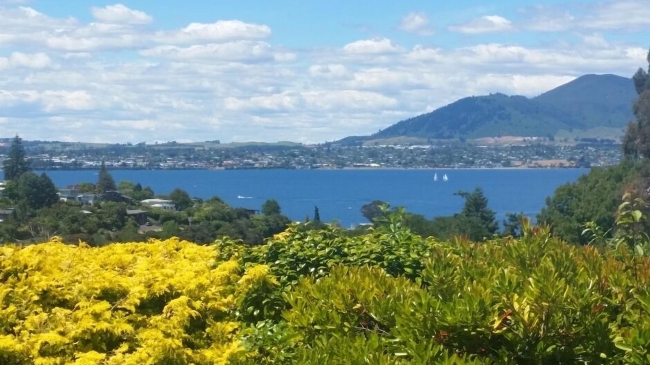 Photo of Others in Acacia Bay