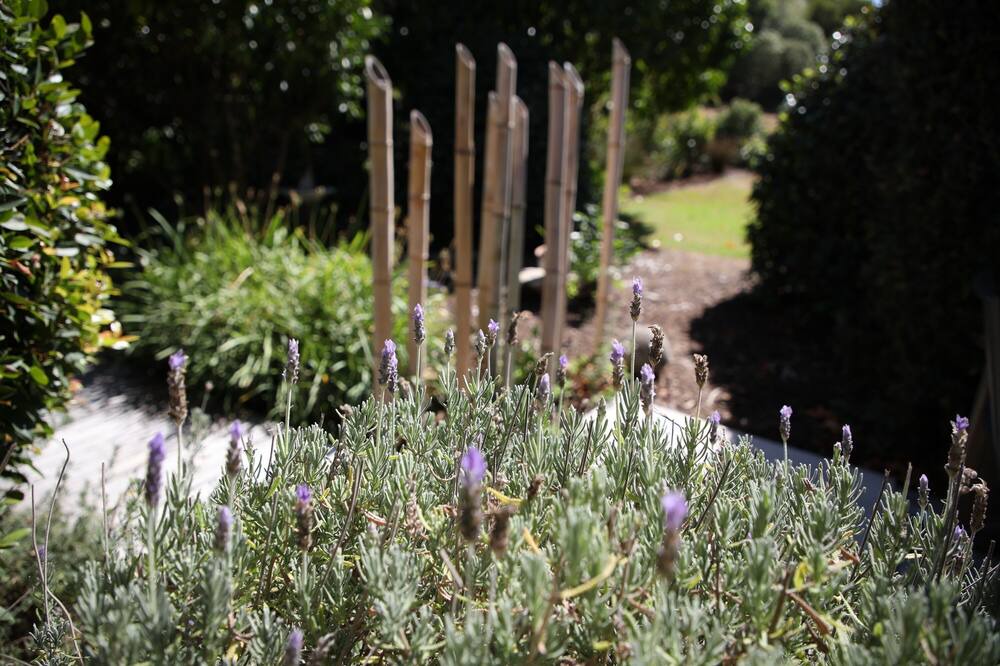 Photo of Outdoor in Cooks Beach