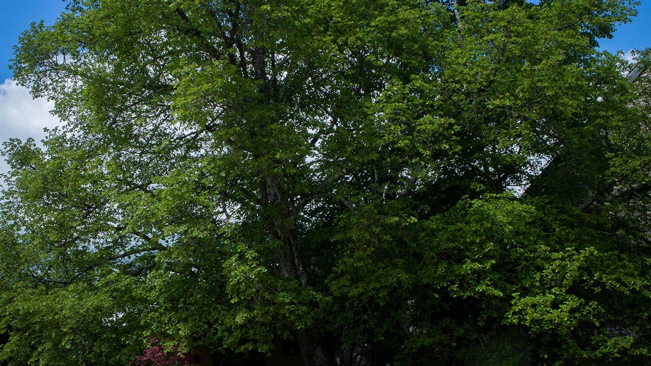 Photo of Outdoor in Labergement-Foigney