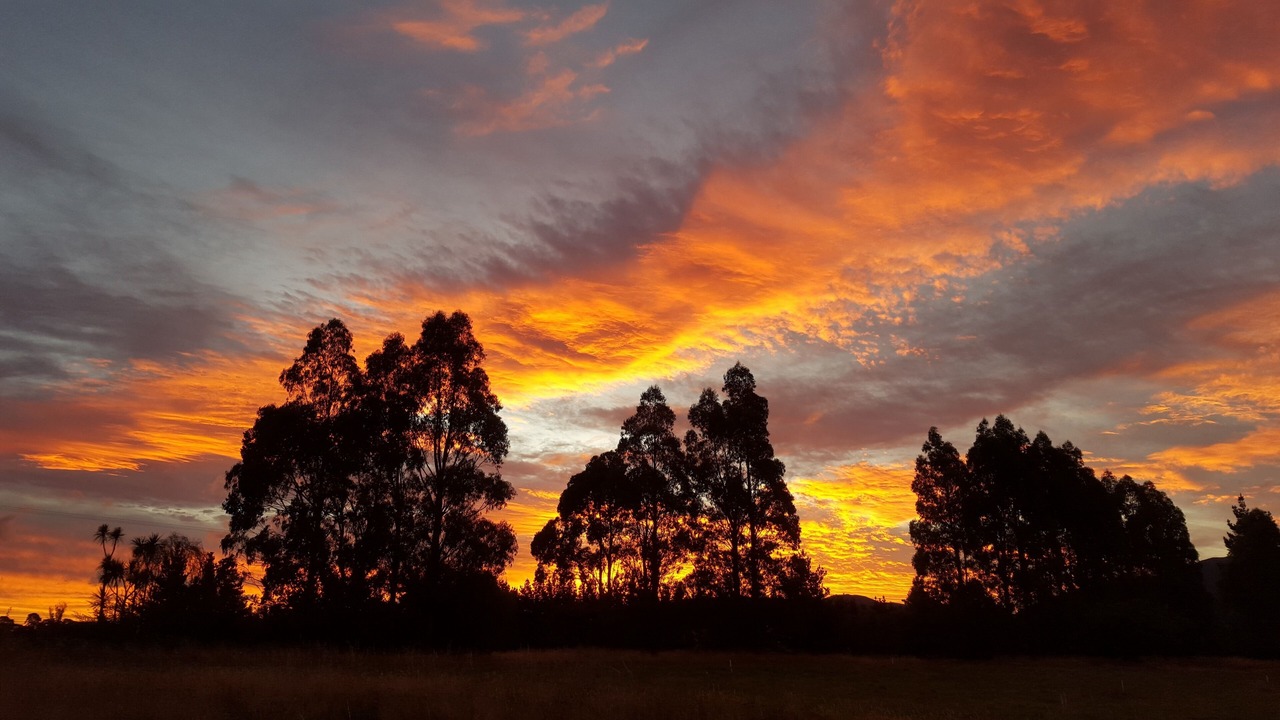 Photo of Outdoor in Greytown