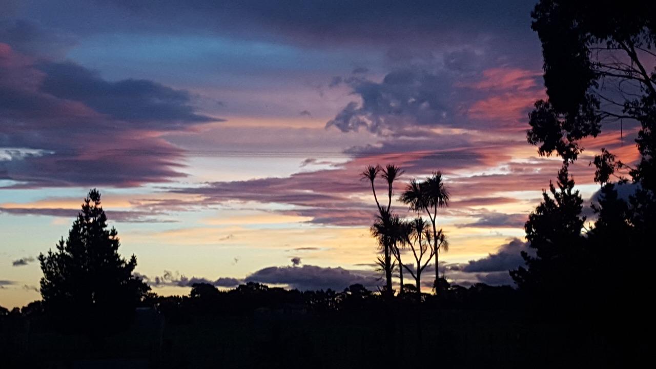 Photo of Others in Greytown