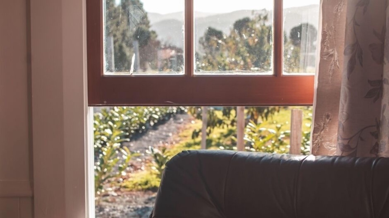 Photo of Others in Greytown