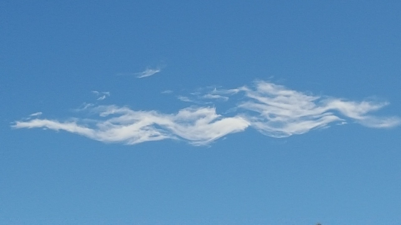 Photo of Others in Greytown