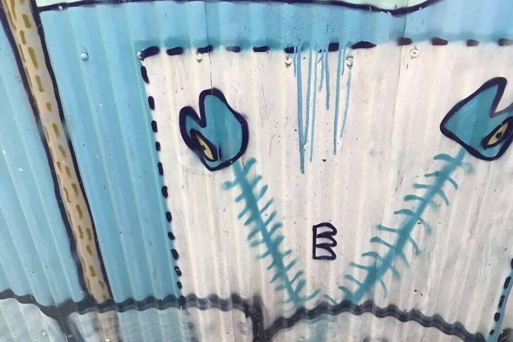 Photo of Others in Aro Valley