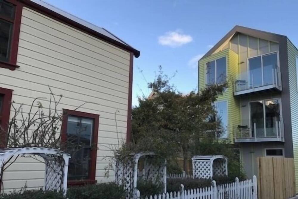 Photo of Others in Aro Valley