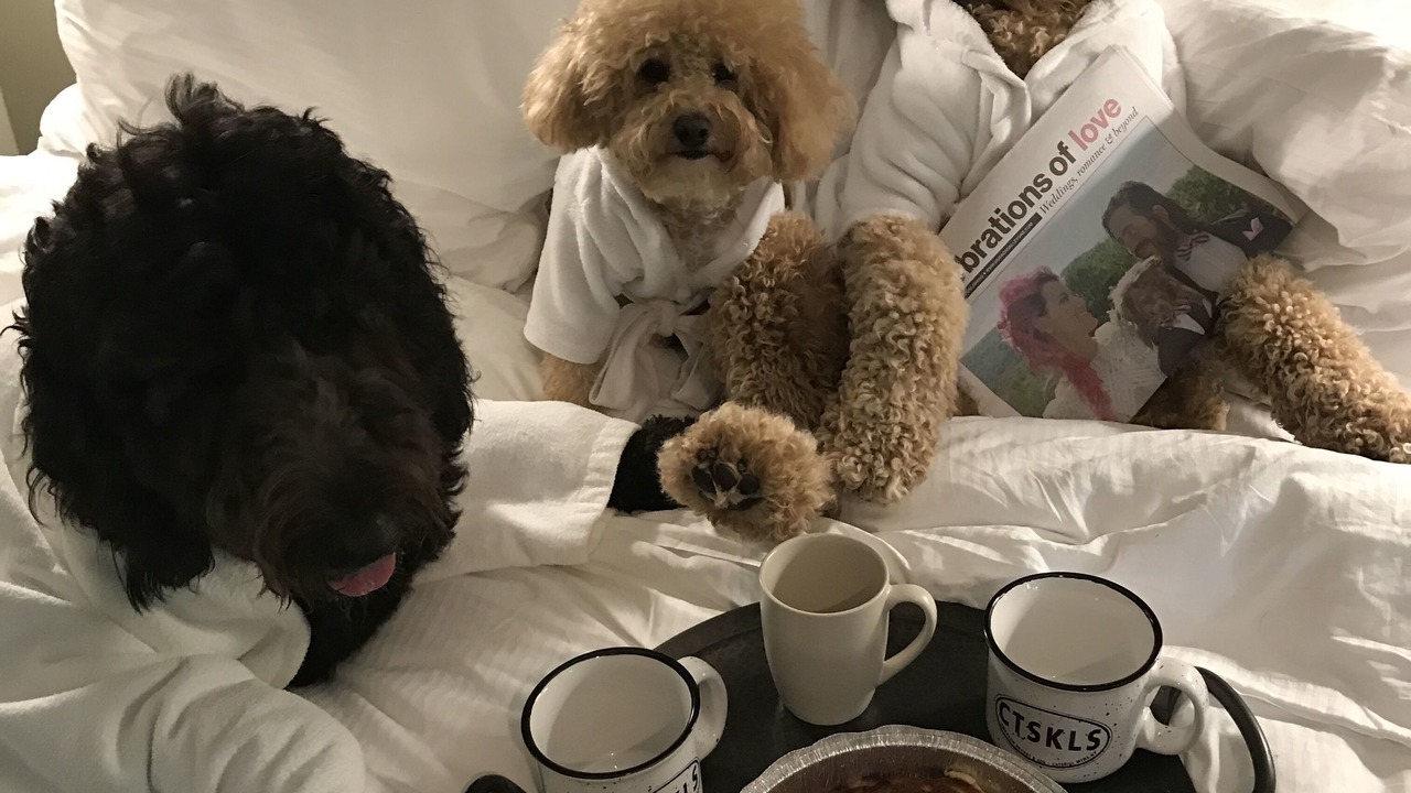Photo of Others in Mount Tremper