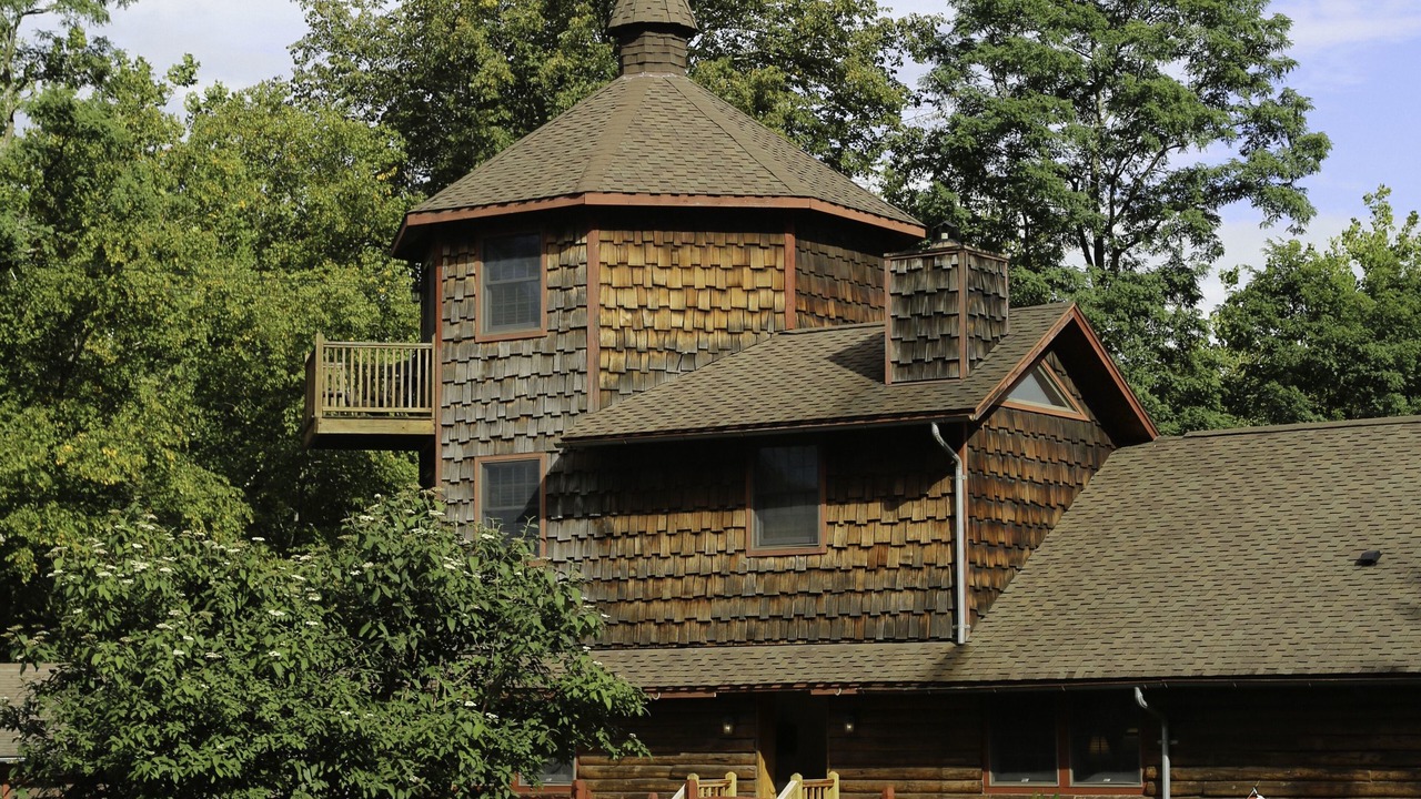 Photo of Outdoor in Mount Tremper