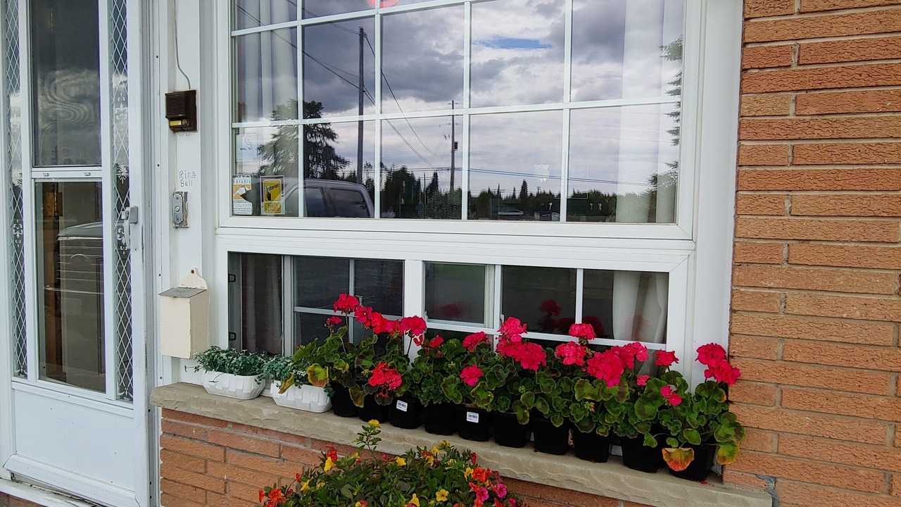 Photo of Outdoor in Nipigon