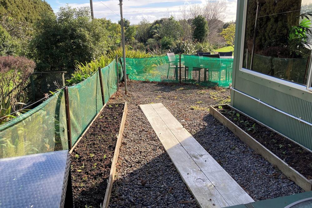 Photo of Outdoor in Kaitake