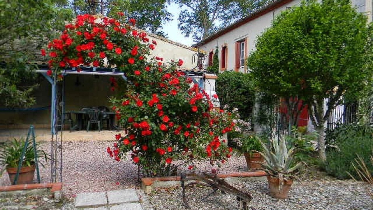 Photo of Outdoor in Villalbe