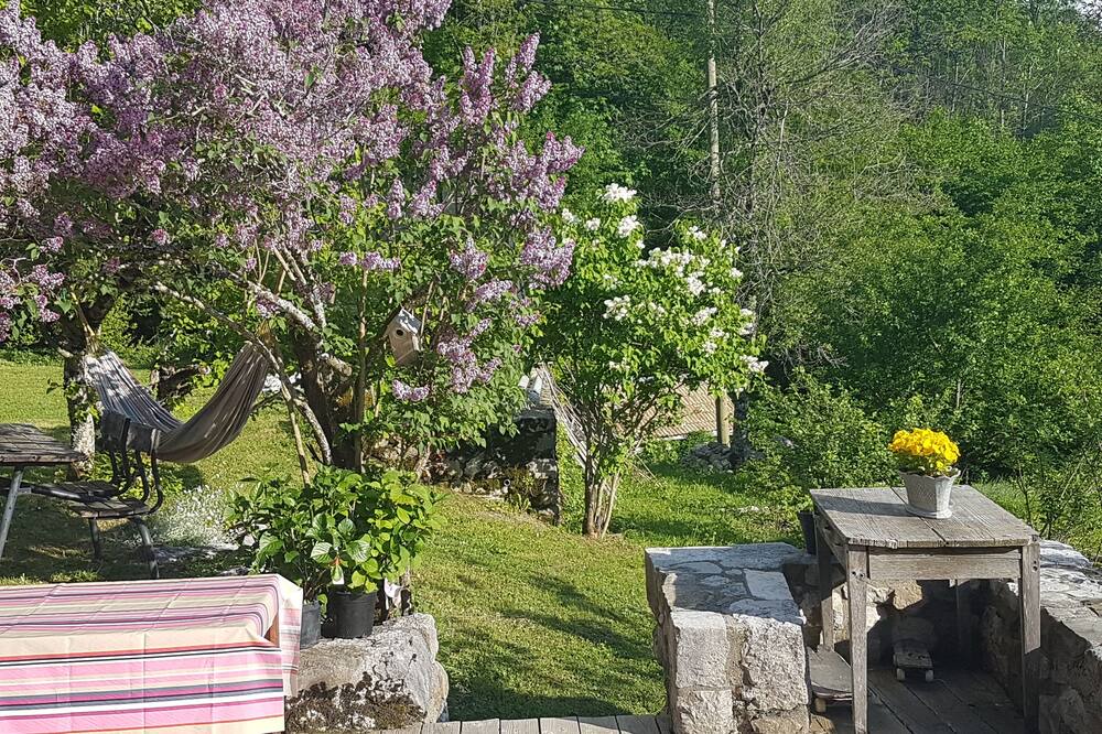 Photo of Outdoor in Dingy-Saint-Clair