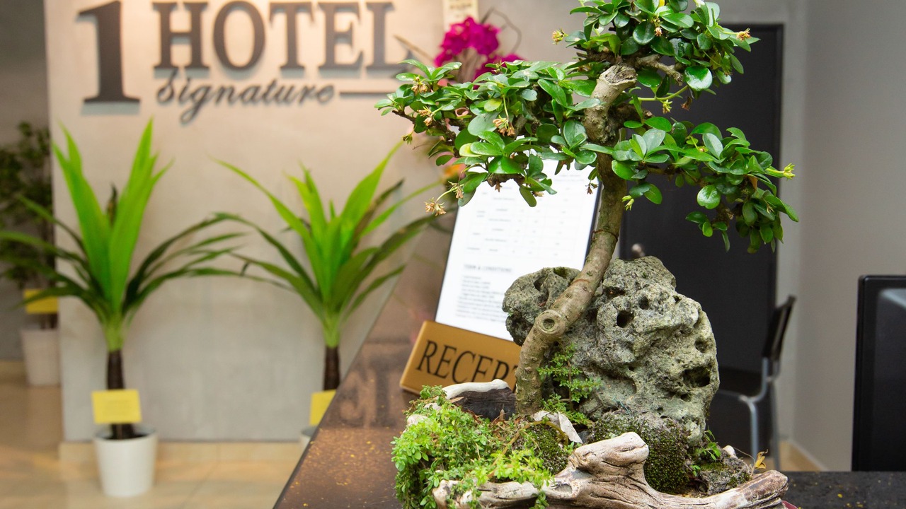 Photo of Others in Kampung Bahasa Kapor