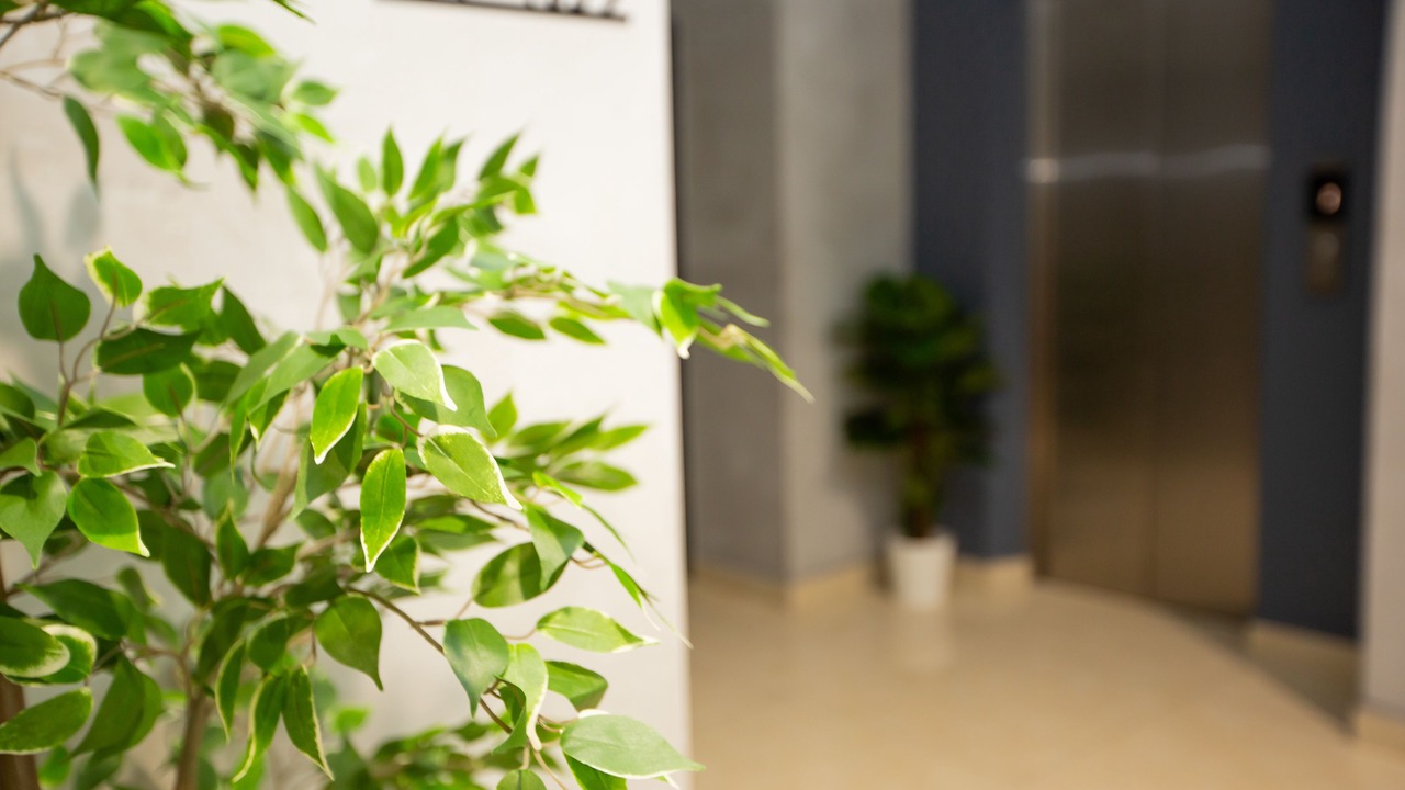 Photo of Others in Kampung Bahasa Kapor