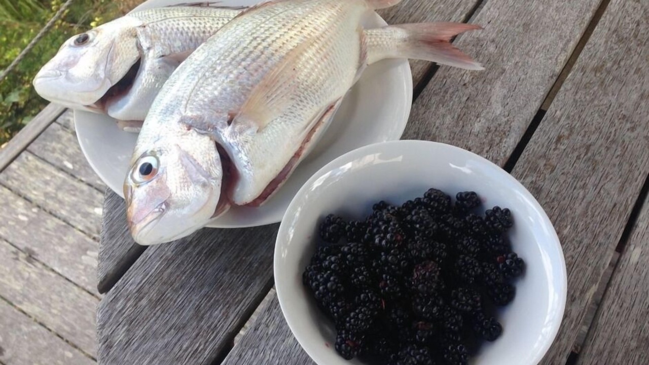 Photo of Others in Pahi