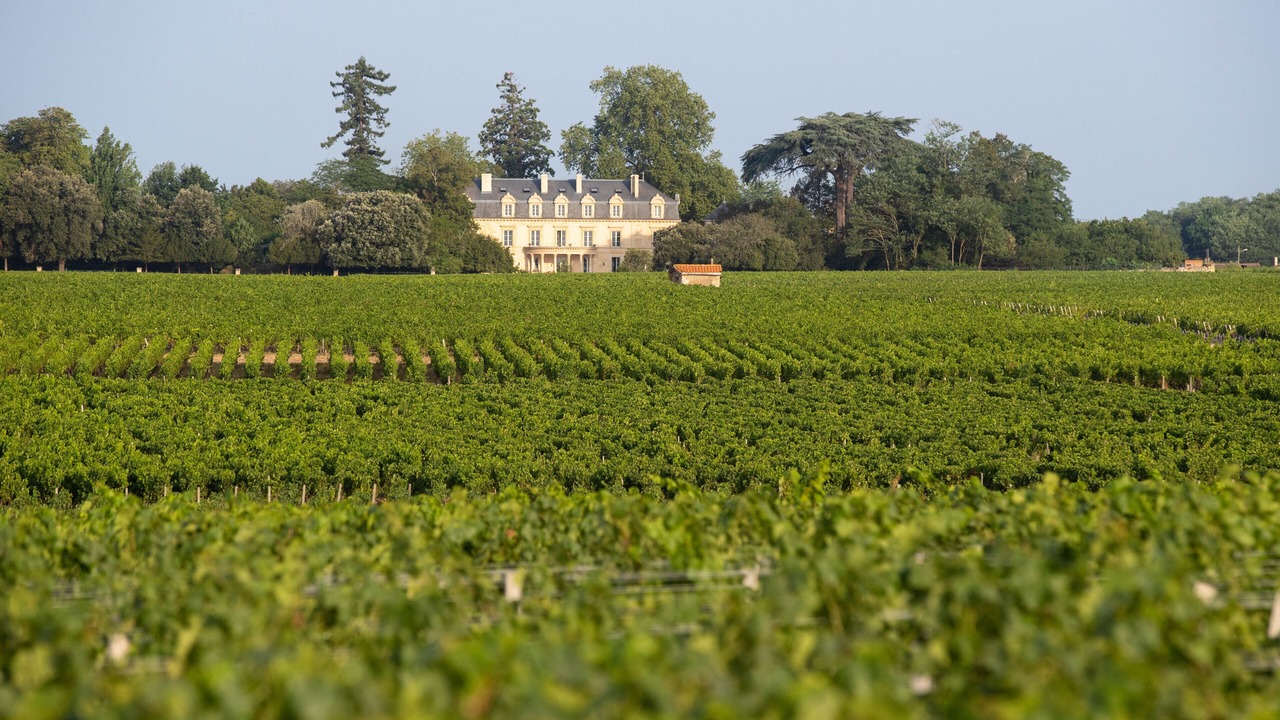 Photo of Outdoor in Saint-Estephe
