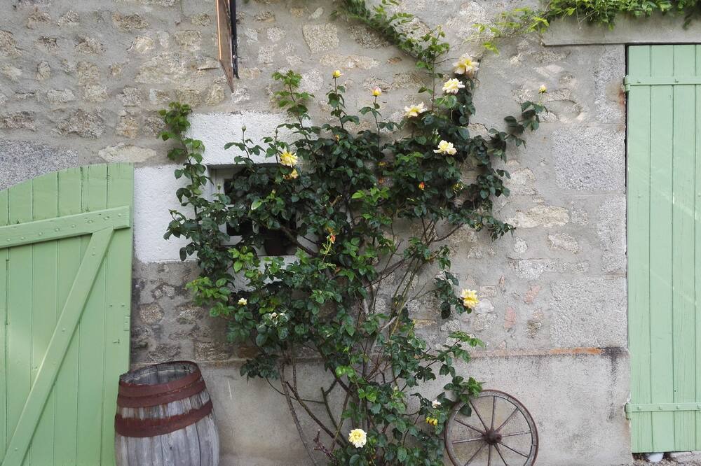 Photo of Outdoor in Saint-Martin-du-Puy