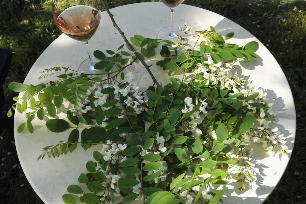 Photo of Others in Saint-Martin-du-Puy