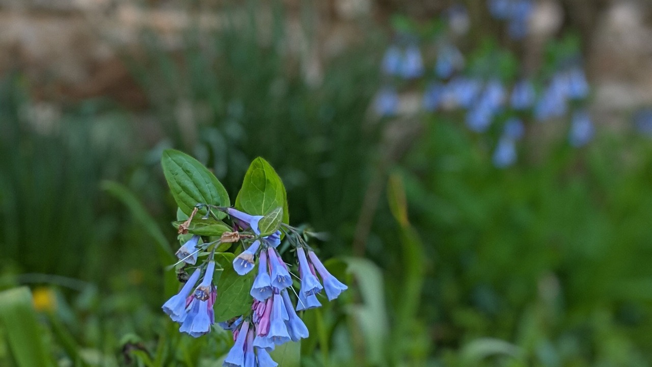 Photo of Outdoor in Warm Springs