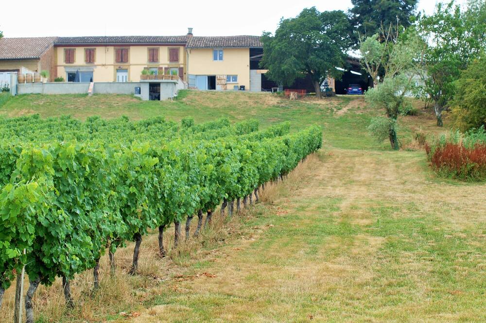 Photo of Outdoor in Fronton