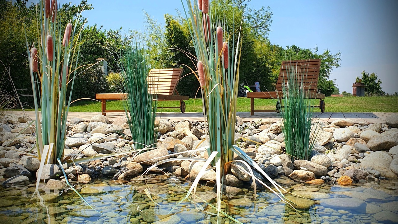 Photo of Others in Lafitte-Vigordanne