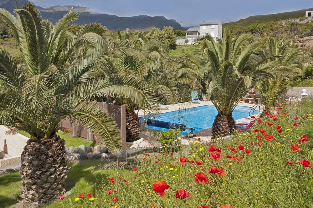 Photo of Outdoor in Sisco