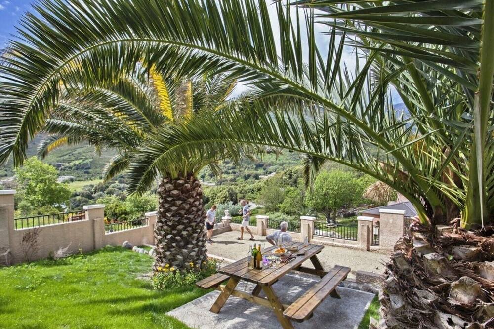 Photo of Outdoor in Sisco