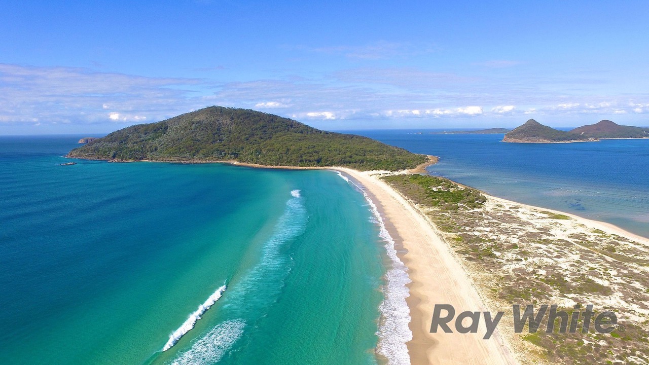 Photo of Others in Tea Gardens